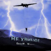 Skrin